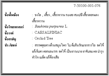 กล่องข้อความ: 7-50100-001-076 ชื่อพื้นเมือง : ชงโค , เสี้ยว , เสี้ยวหวาน กะเฮอ สะเปซี เสี้ยวดอกแดง เสี้ยวหวาน ชื่อวิทยาศาสตร์ : Bauhinia purpurea L. ชื่อวงศ์ : CAESALPINIAC ชื่อสามัญ : Orchid Tree ประโยชน์ : สรรพคุณทางด้านสมุนไพร ใบ ต้มกินรักษาอาการไอ ลดไข้ แก้เจ็บตา ดอกและราก ลดไข้ เป็นยาระบาย ยาขับลม ผล บำรุงหัวใจ เมล็ด แก้ท้องเสีย